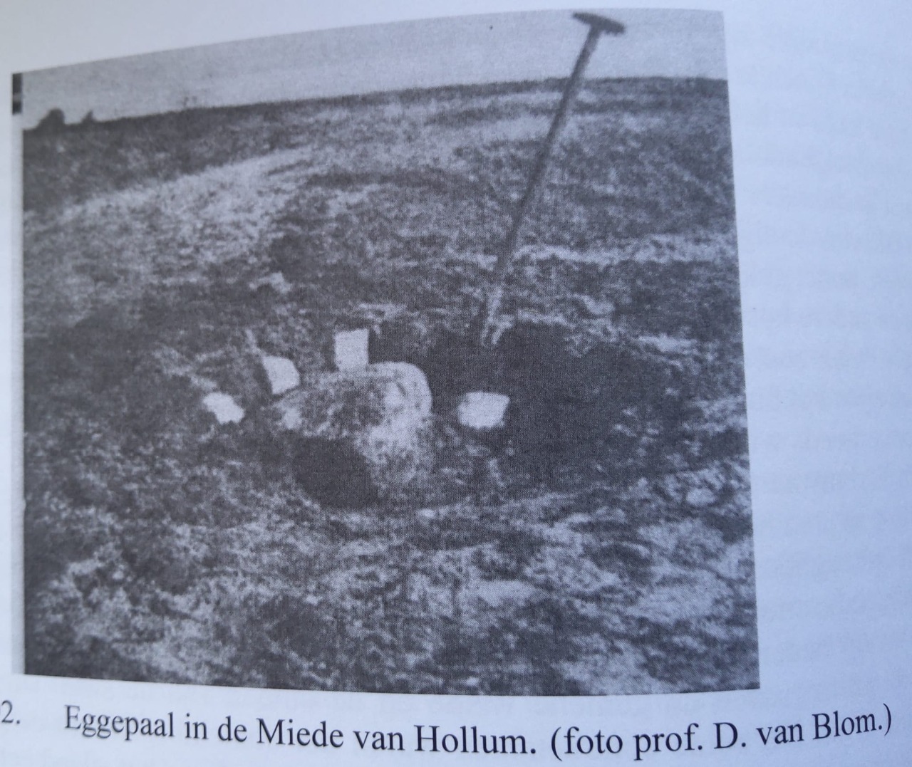 eggeplaal in de Hollumer miede